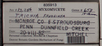 Image Associated With the Occurence
